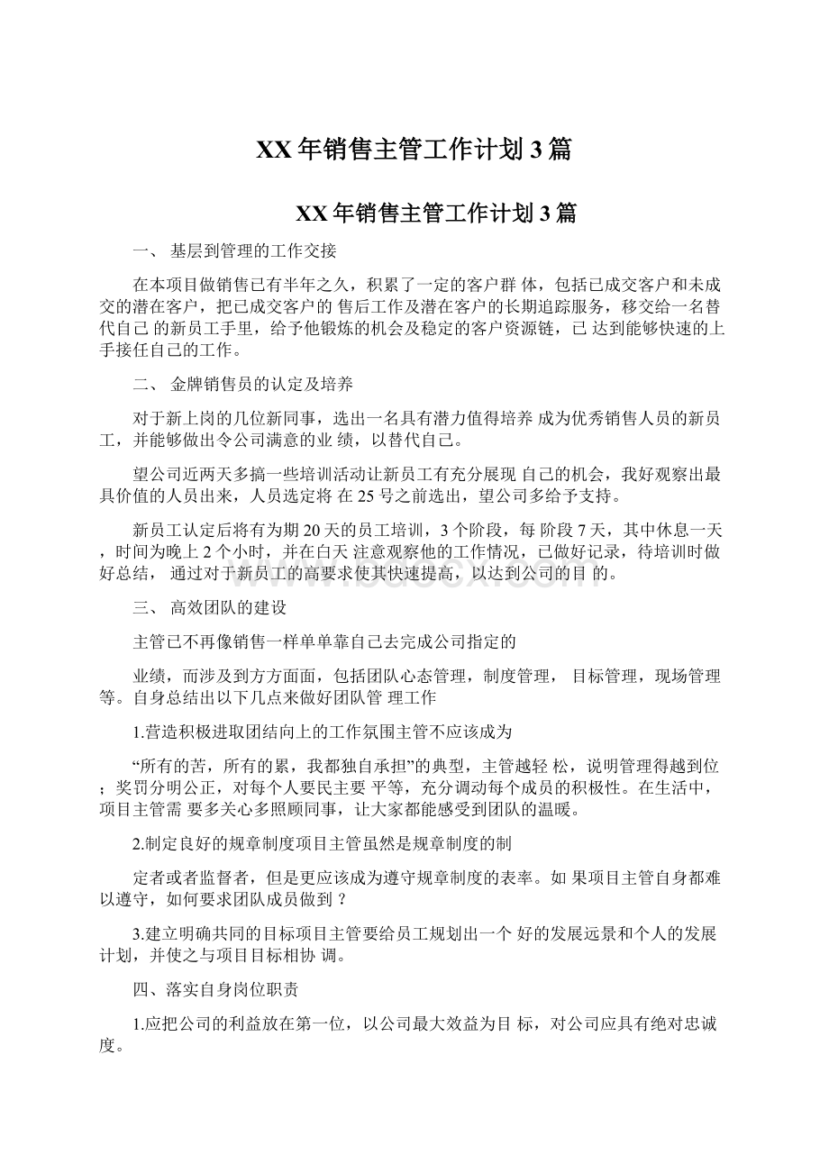 XX年销售主管工作计划3篇.docx