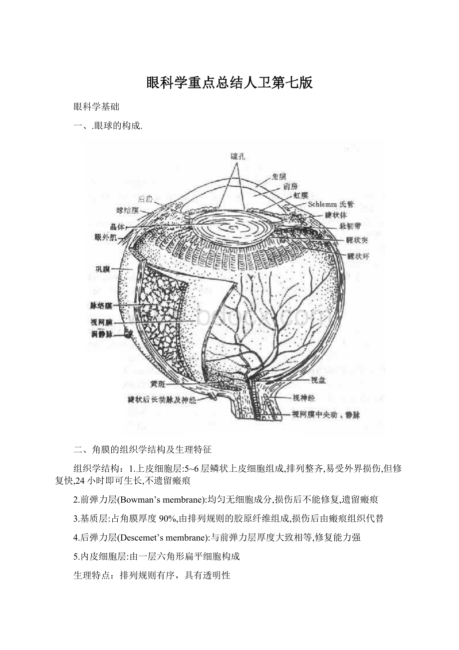 眼科学重点总结人卫第七版Word文档下载推荐.docx_第1页