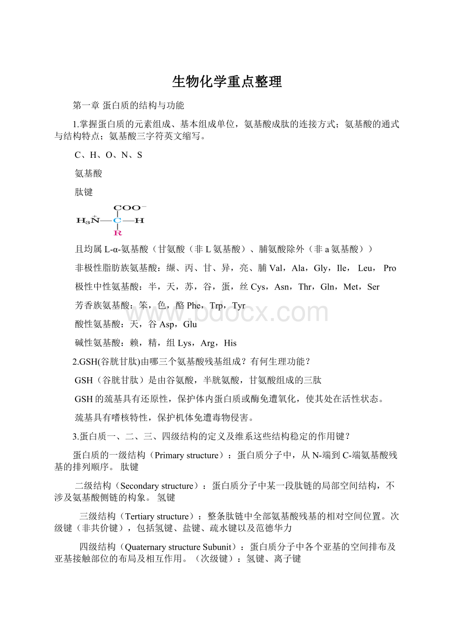 生物化学重点整理.docx