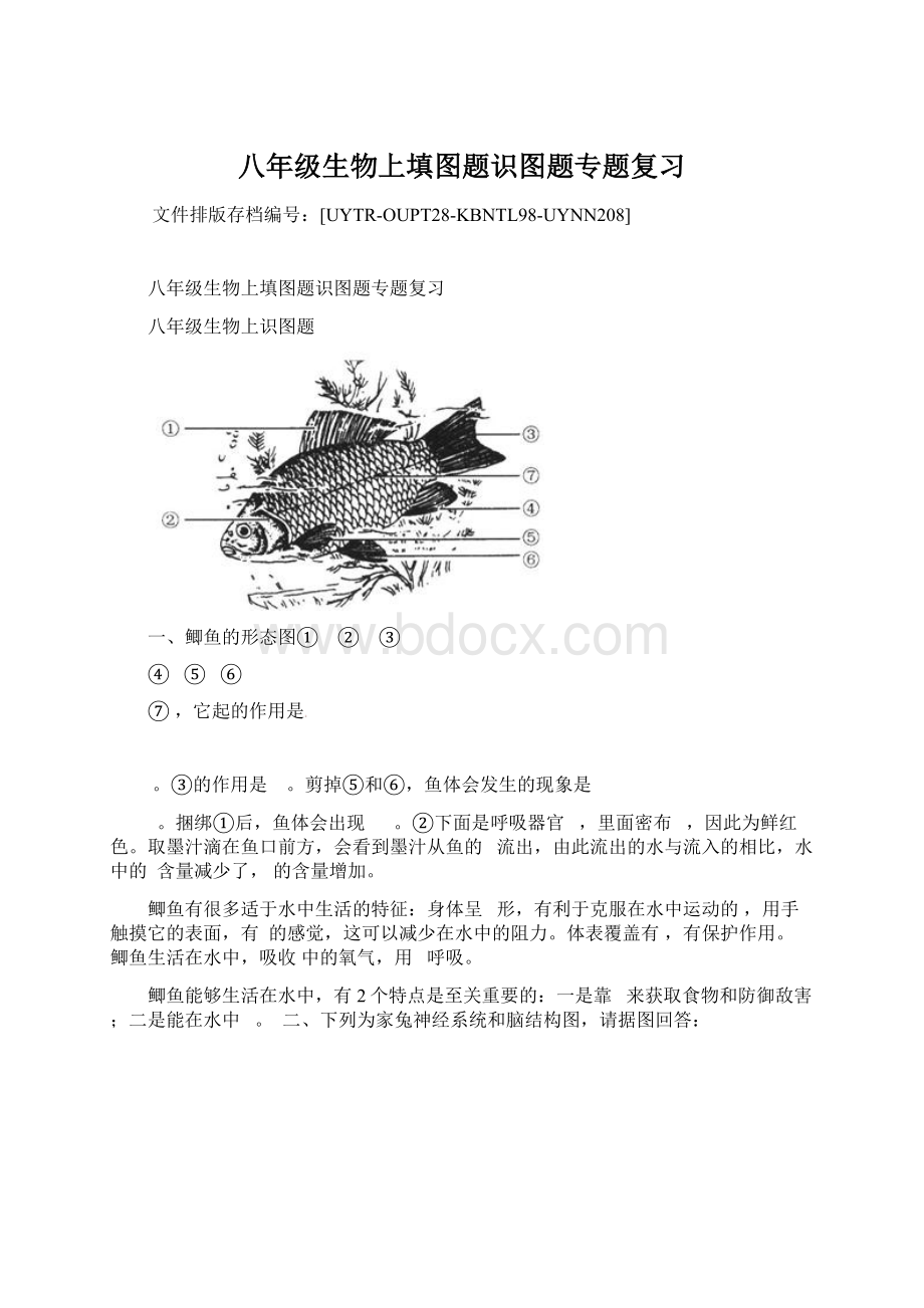 八年级生物上填图题识图题专题复习Word文件下载.docx