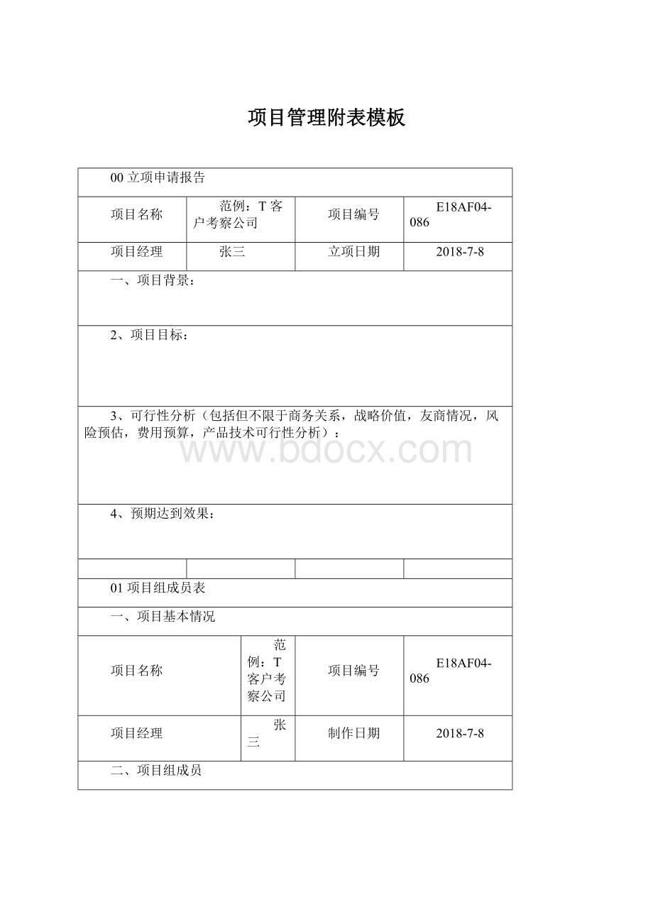 项目管理附表模板文档格式.docx