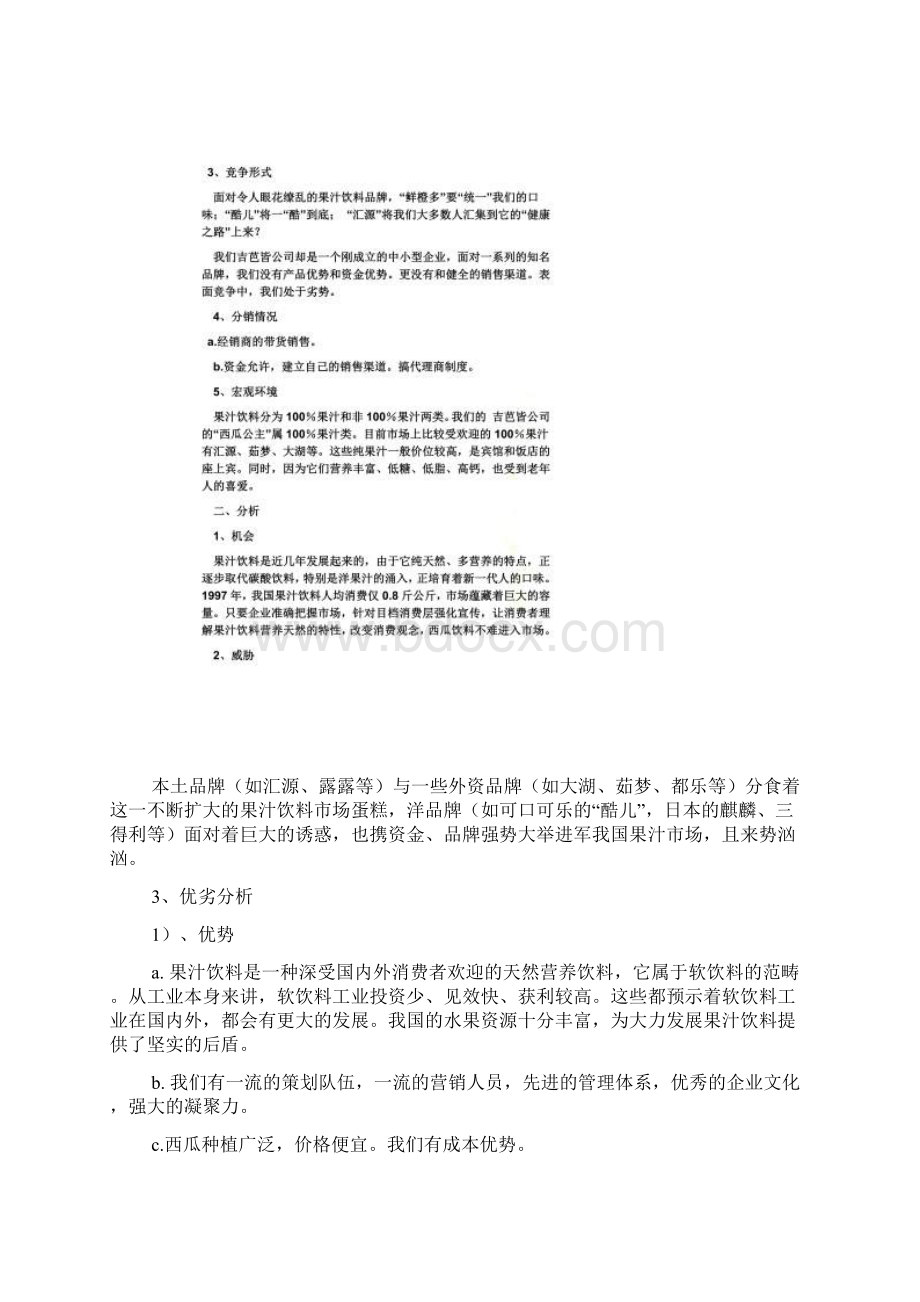 西瓜营销策划方案.docx_第2页