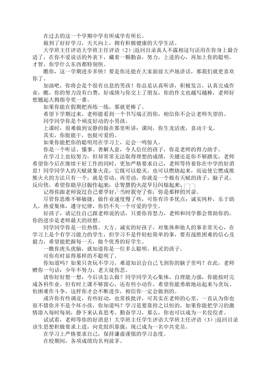 大学班主任评语4篇.docx_第3页