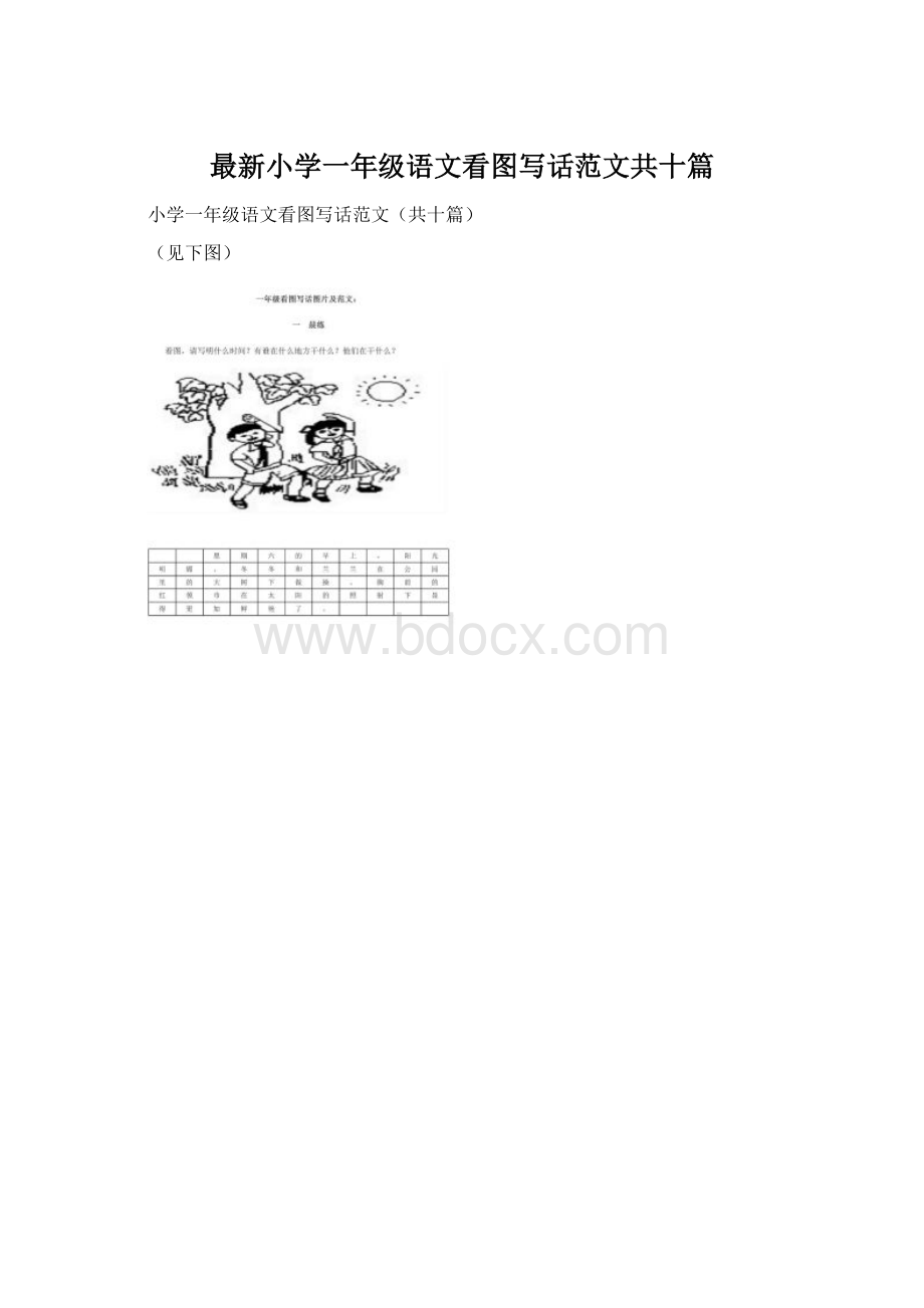 最新小学一年级语文看图写话范文共十篇.docx