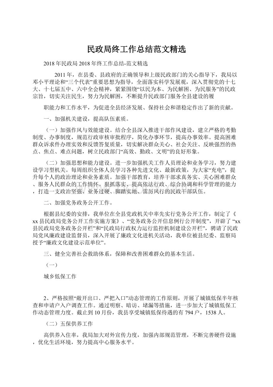 民政局终工作总结范文精选.docx