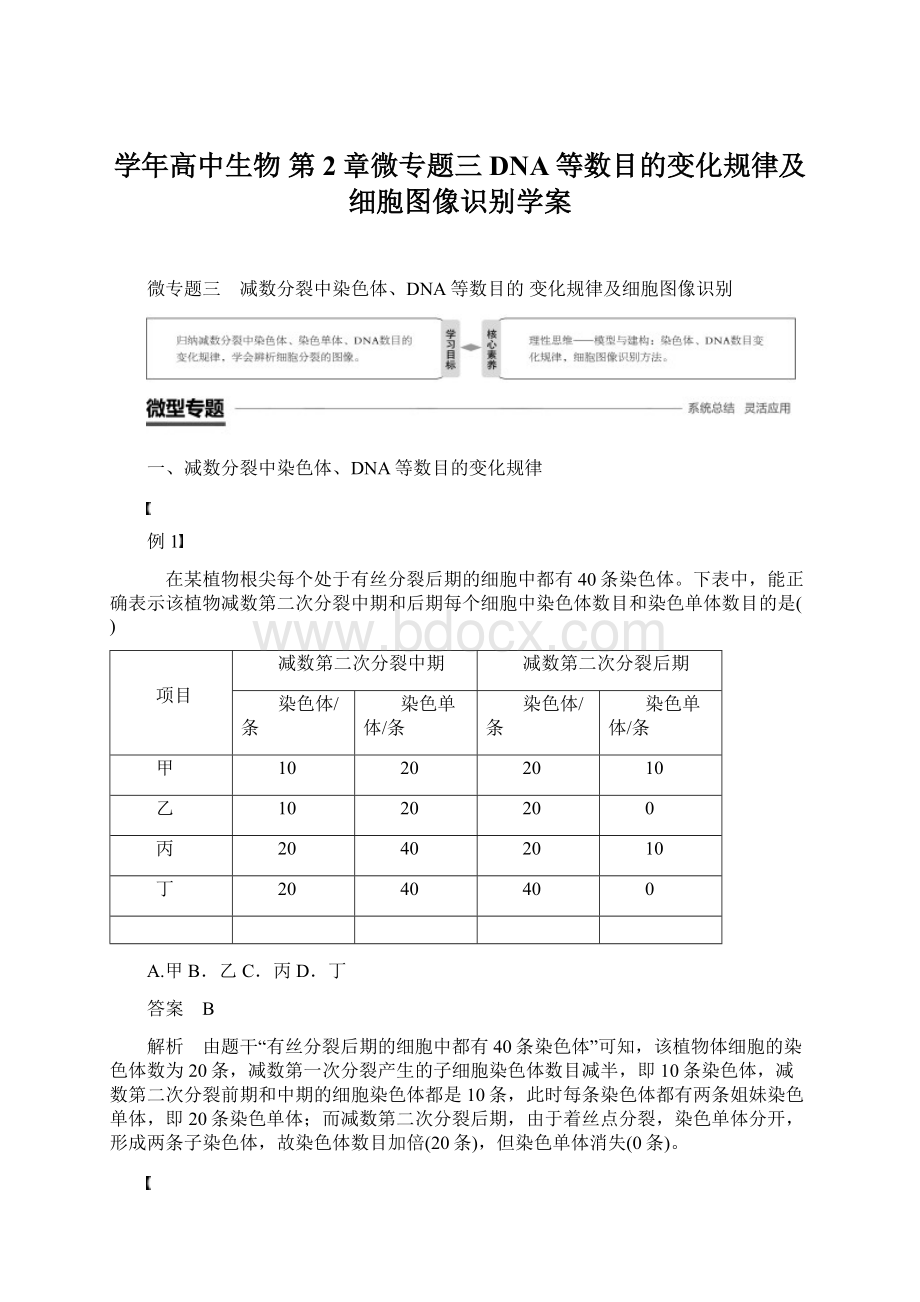 学年高中生物 第2章微专题三DNA等数目的变化规律及细胞图像识别学案.docx