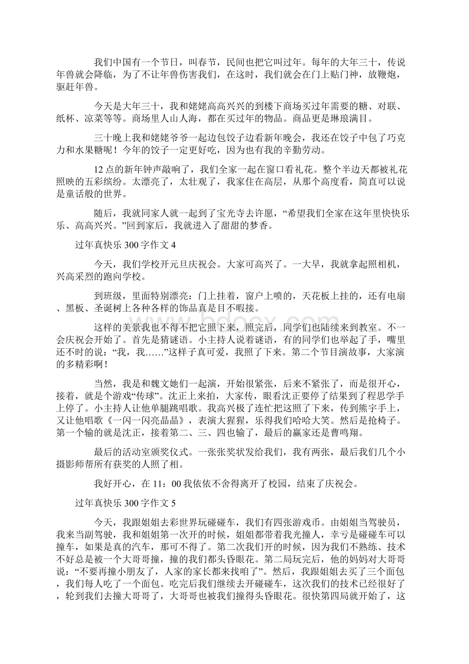 过年真快乐300字作文10篇.docx_第2页