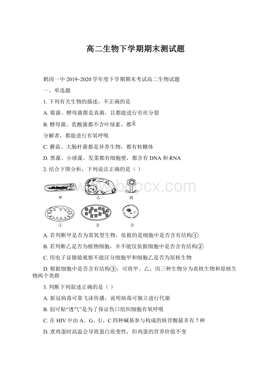 高二生物下学期期末测试题Word下载.docx