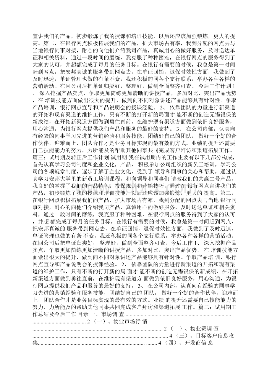 转正后的工作计划与发展目标范文.docx_第2页