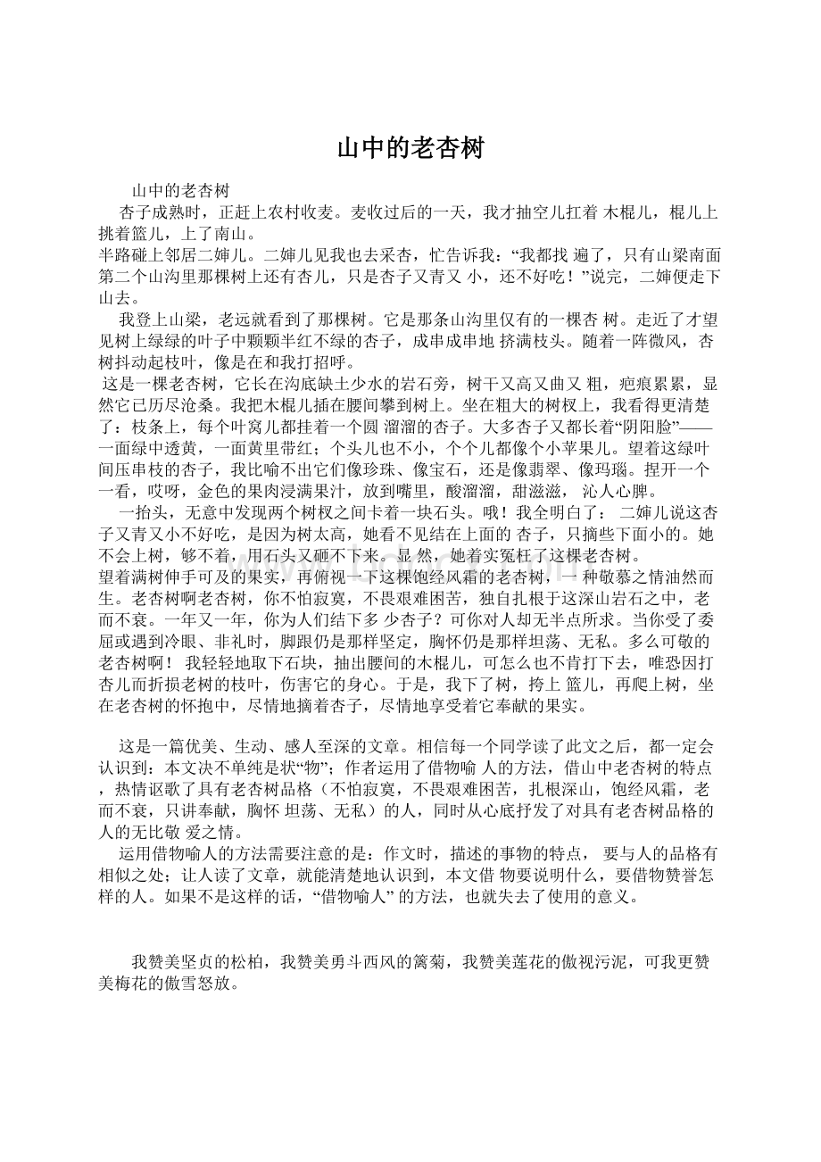 山中的老杏树文档格式.docx