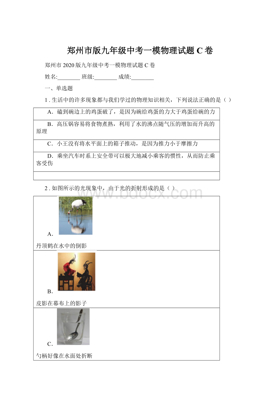 郑州市版九年级中考一模物理试题C卷.docx