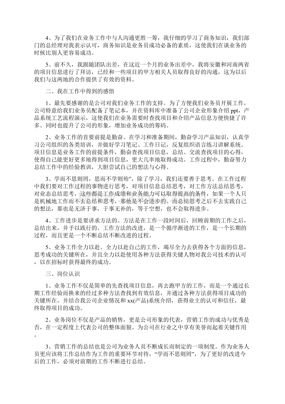 业务员试用期工作总结4篇.docx_第2页