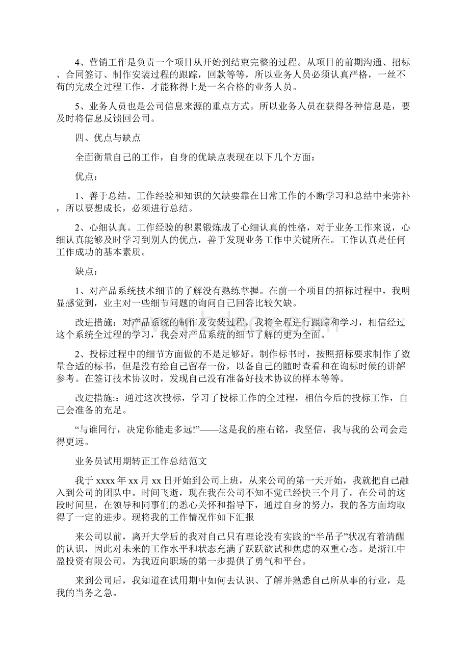 业务员试用期工作总结4篇.docx_第3页