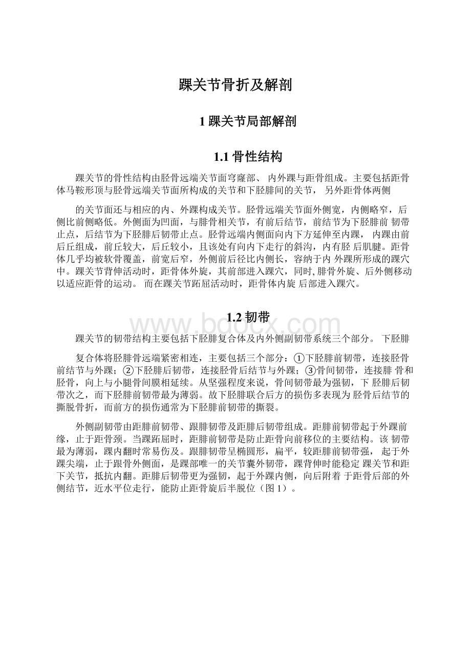 踝关节骨折及解剖文档格式.docx_第1页