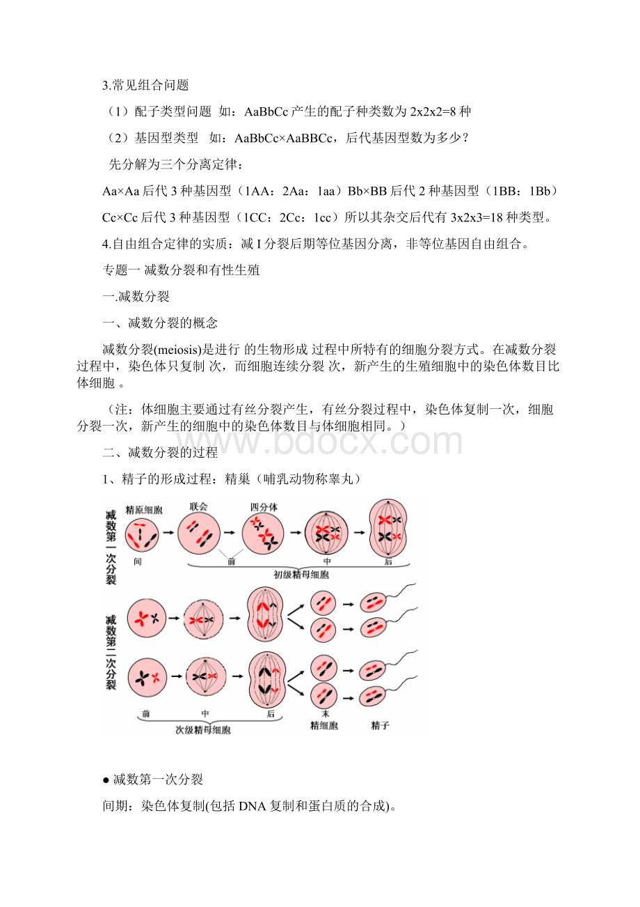 高一生物必修2复习提纲Word文件下载.docx_第3页