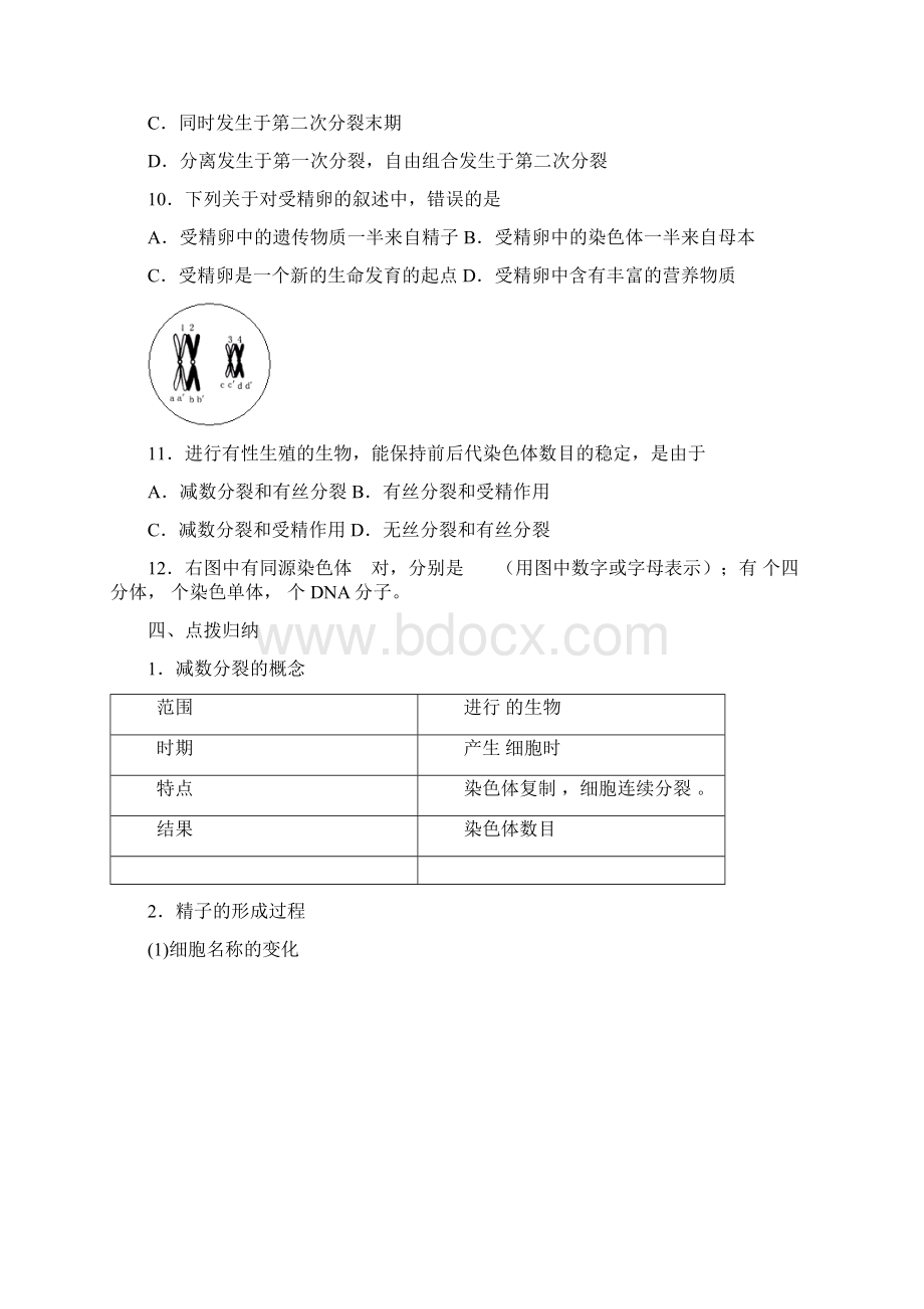 人教版教学教案减数分裂和受精作用导学案文档格式.docx_第3页