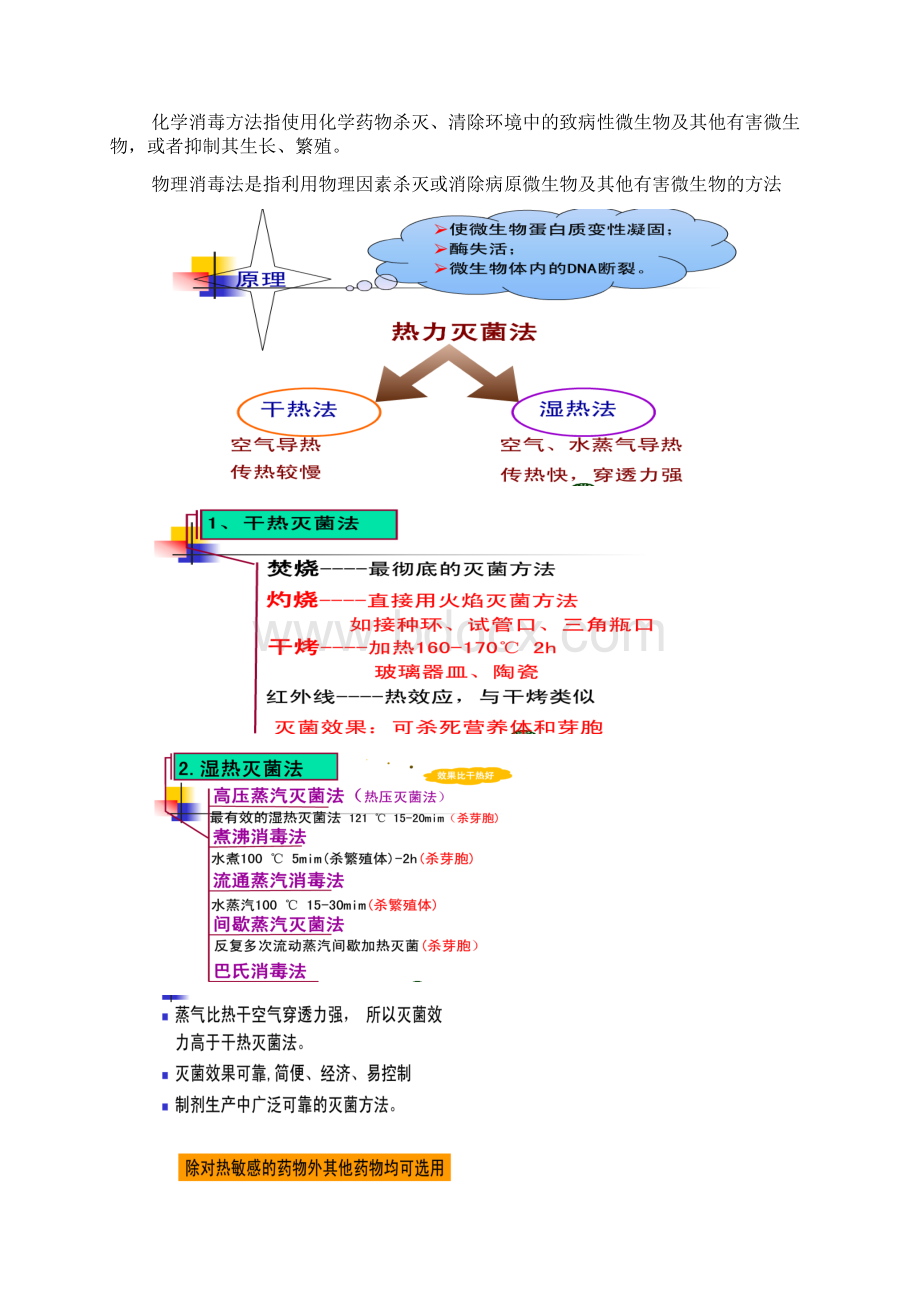 细胞工程期末考试复习Word文档下载推荐.docx_第3页