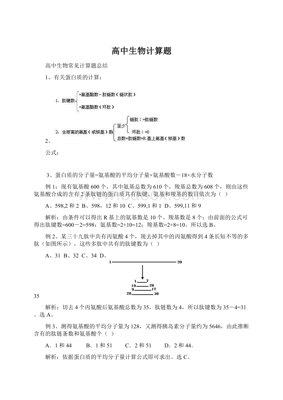 高中生物计算题Word下载.docx_第1页