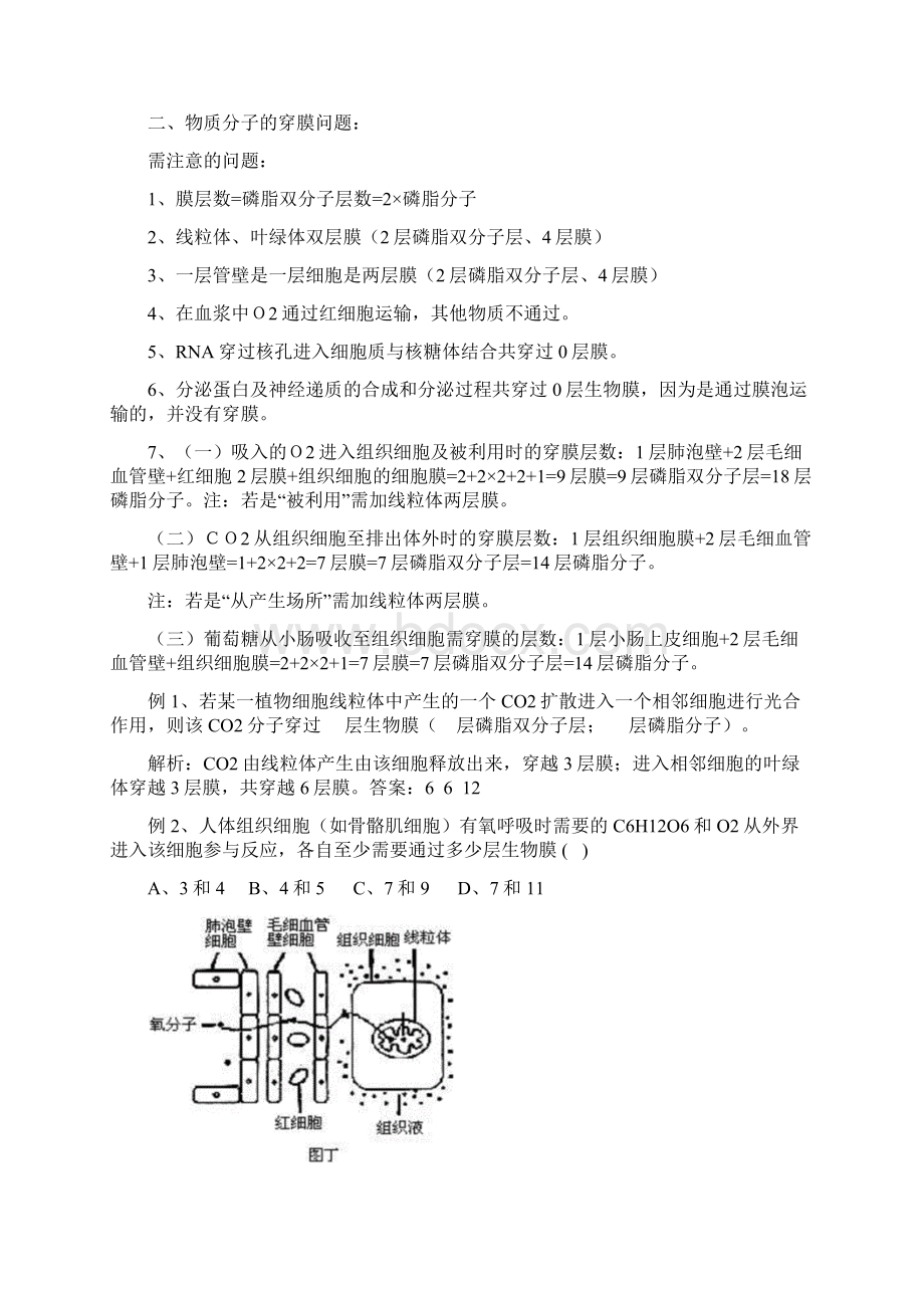 高中生物计算题Word下载.docx_第2页