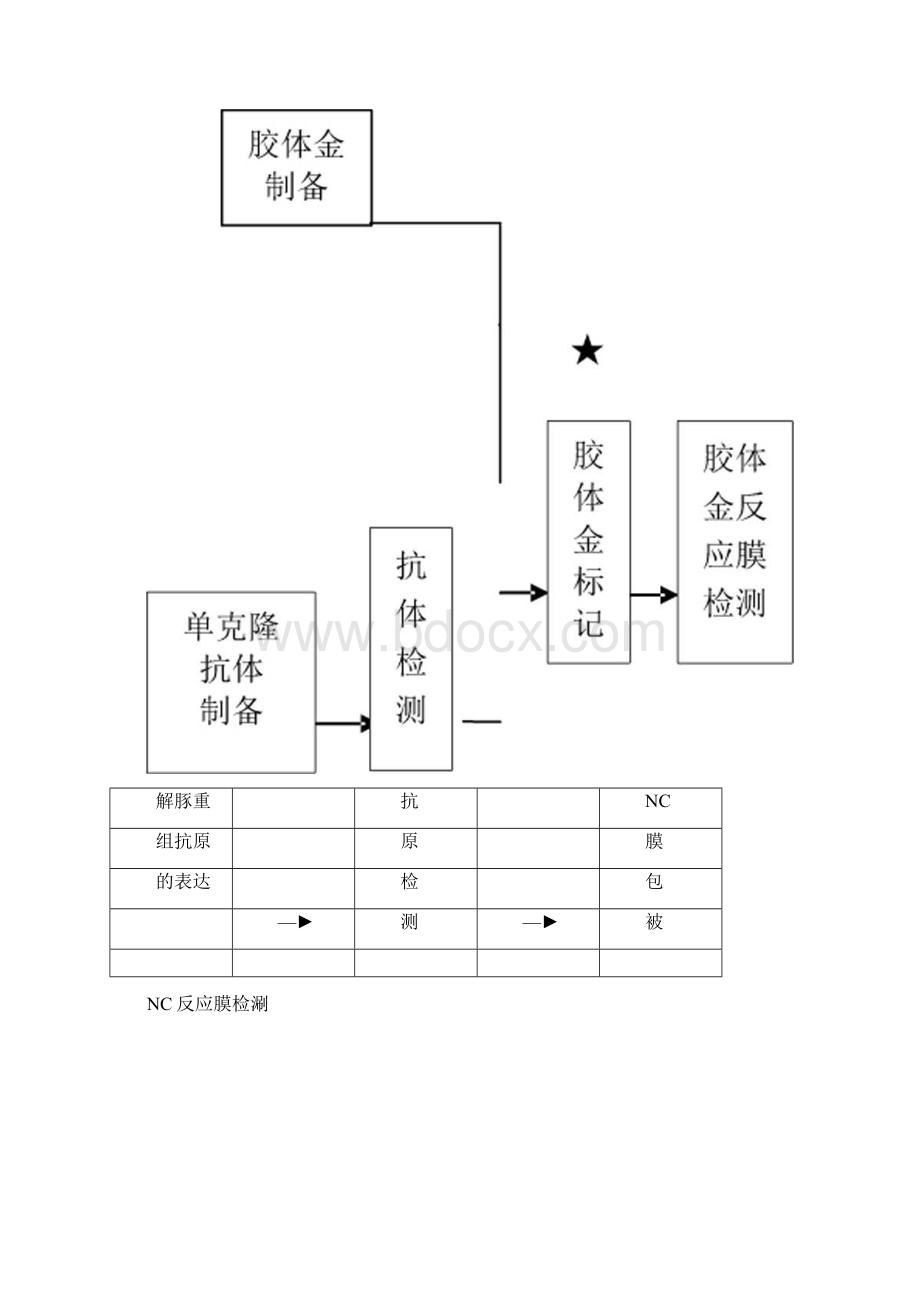 解脲支原体MB蛋白金标检测试剂盒胶体金法作业指导书docx.docx_第2页