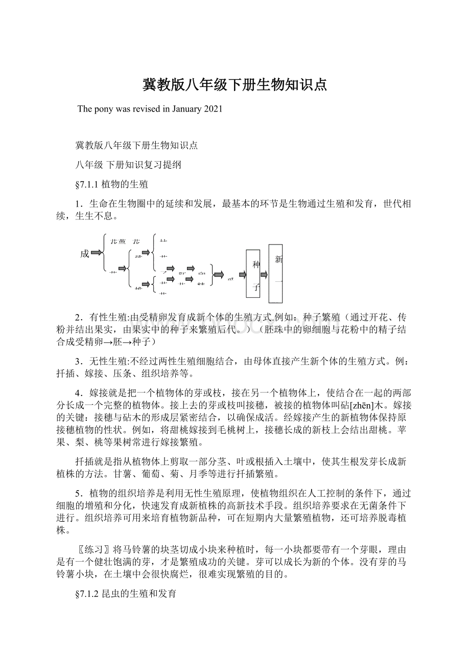 冀教版八年级下册生物知识点.docx_第1页