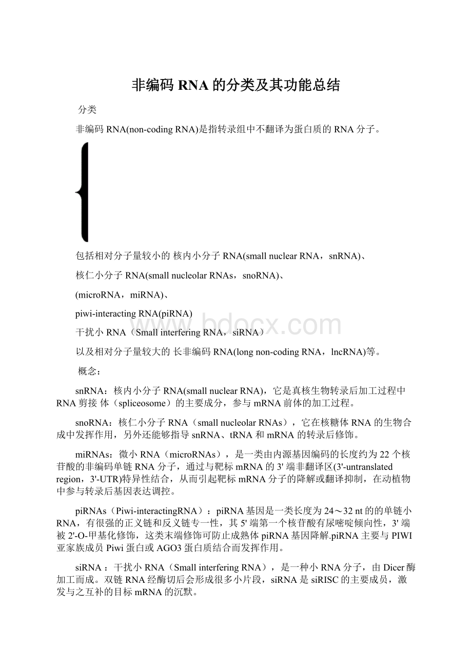 非编码RNA的分类及其功能总结文档格式.docx_第1页