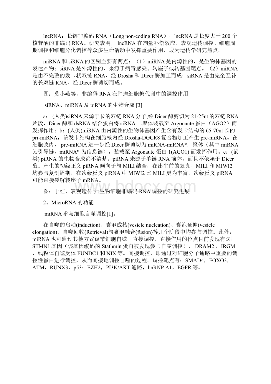 非编码RNA的分类及其功能总结文档格式.docx_第2页