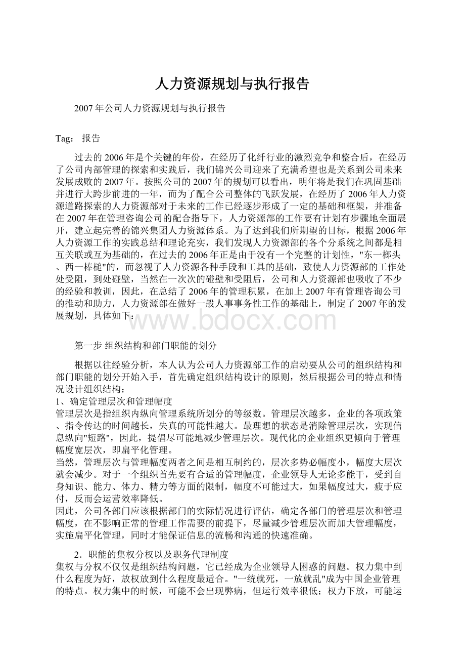 人力资源规划与执行报告Word文档下载推荐.docx_第1页