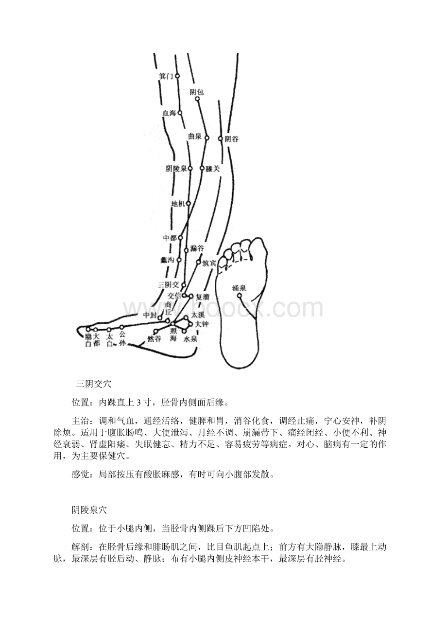 最新内关穴位置图.docx_第3页