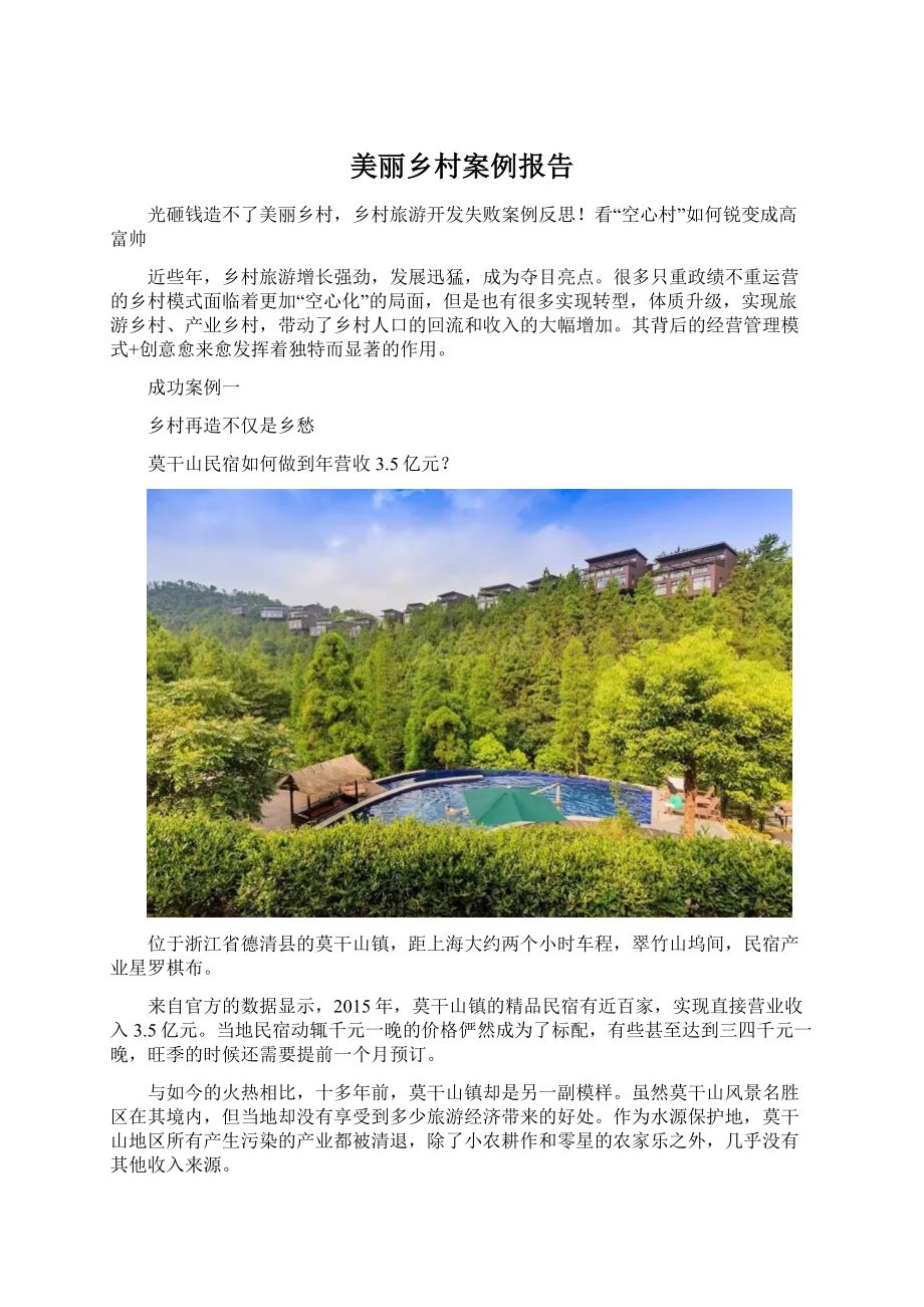 美丽乡村案例报告.docx_第1页