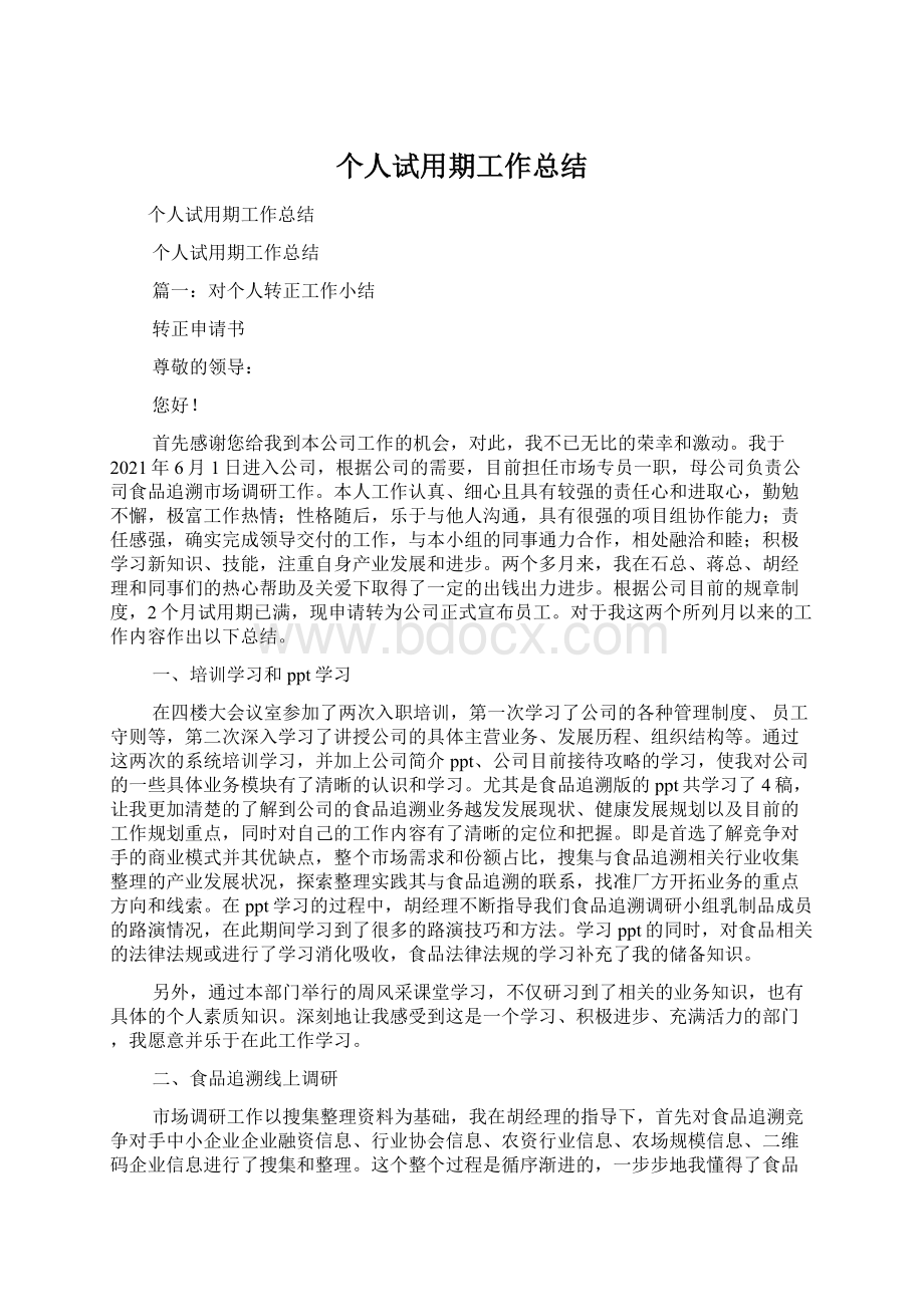 个人试用期工作总结Word格式文档下载.docx