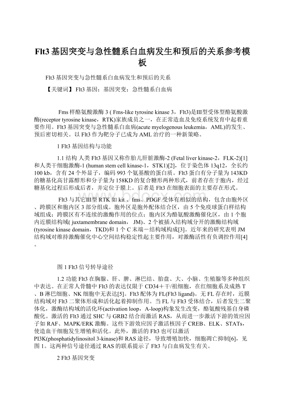 Flt3基因突变与急性髓系白血病发生和预后的关系参考模板文档格式.docx_第1页