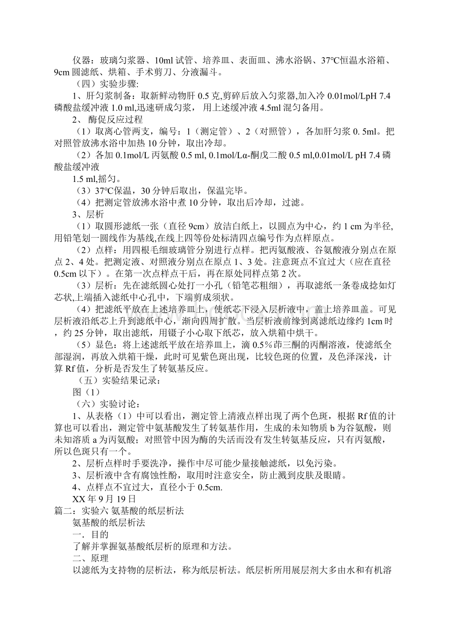 纸色谱法实验报告doc.docx_第2页