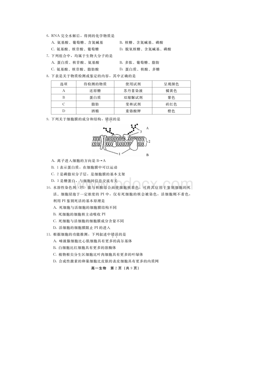 学年北京市丰台区高一上学期期末考试生物试题 扫描版Word下载.docx_第2页