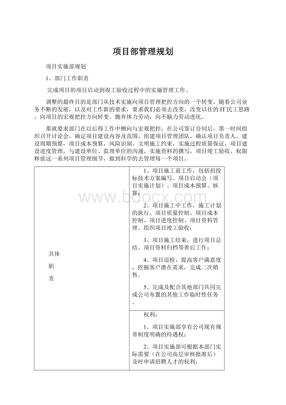 项目部管理规划.docx