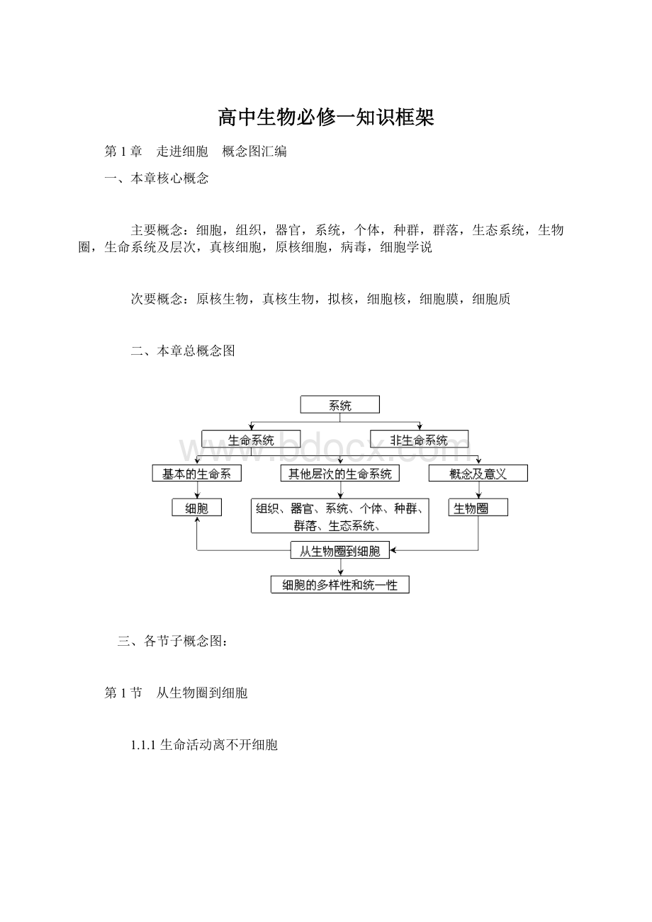 高中生物必修一知识框架Word格式文档下载.docx_第1页