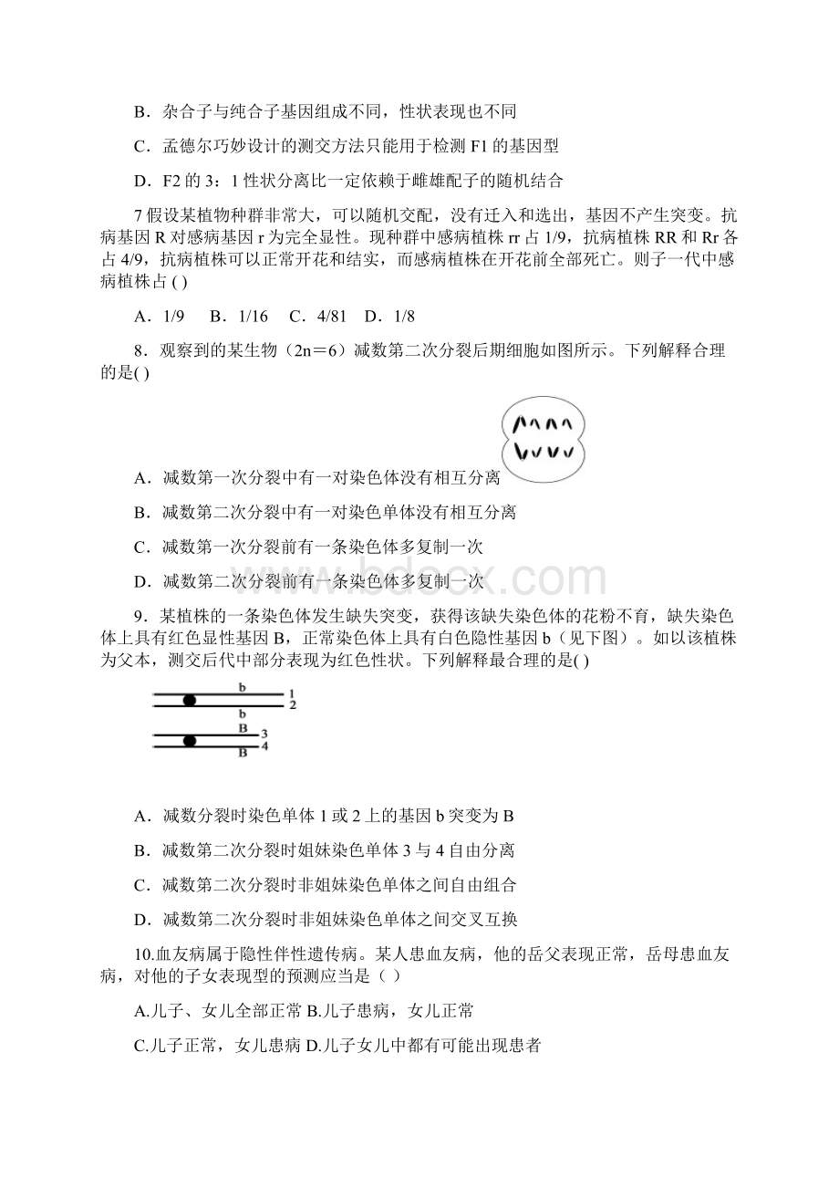 高中生物必修二基础训练题Word格式文档下载.docx_第2页