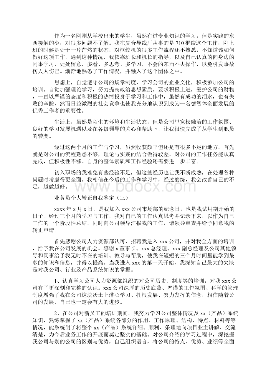 业务员个人转正自我鉴定.docx_第2页