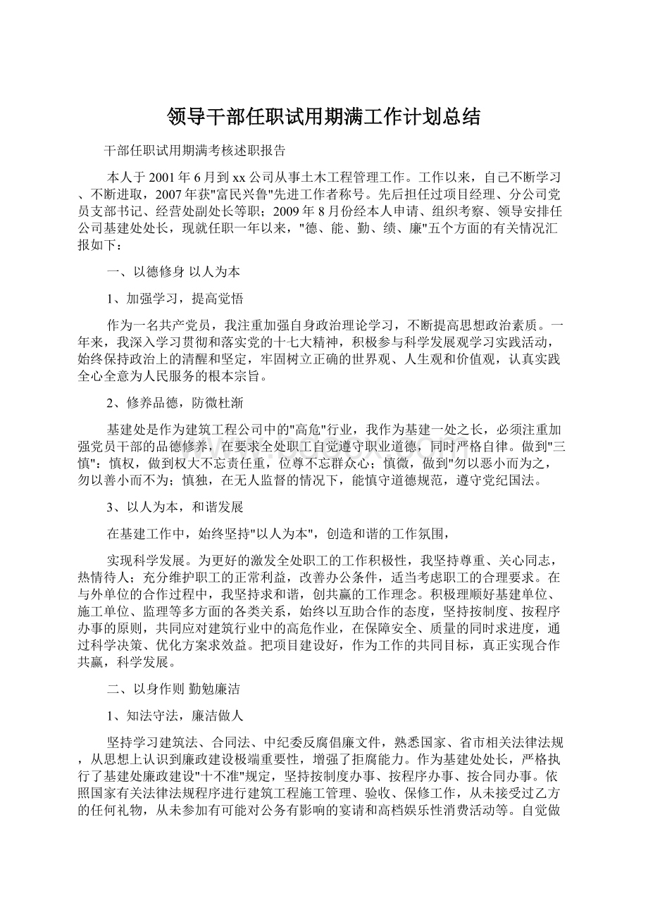 领导干部任职试用期满工作计划总结.docx