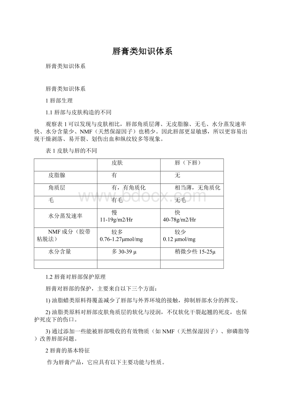 唇膏类知识体系Word格式文档下载.docx