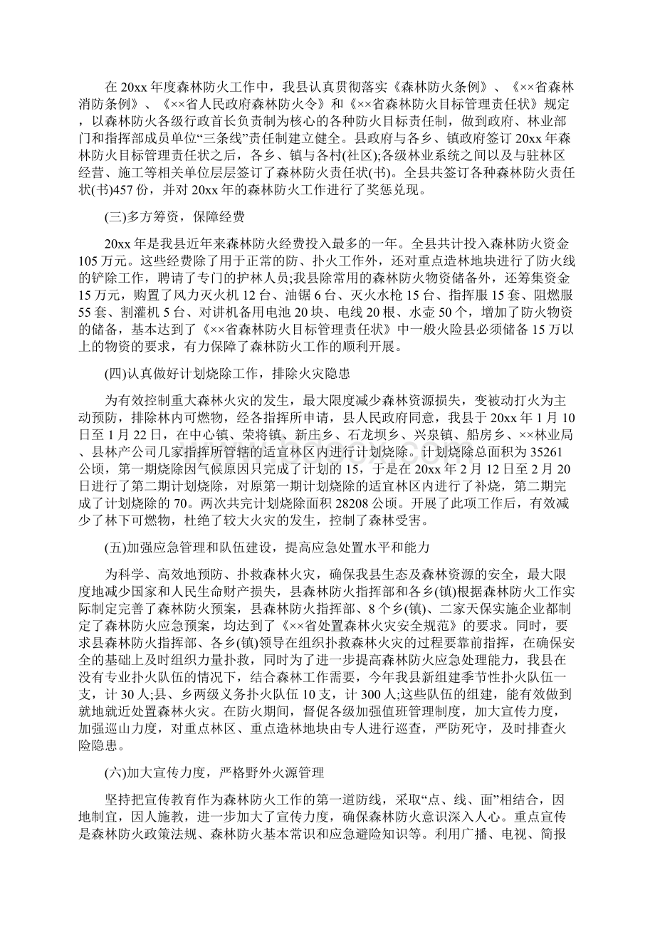 森林防火个人工作总结.docx_第2页