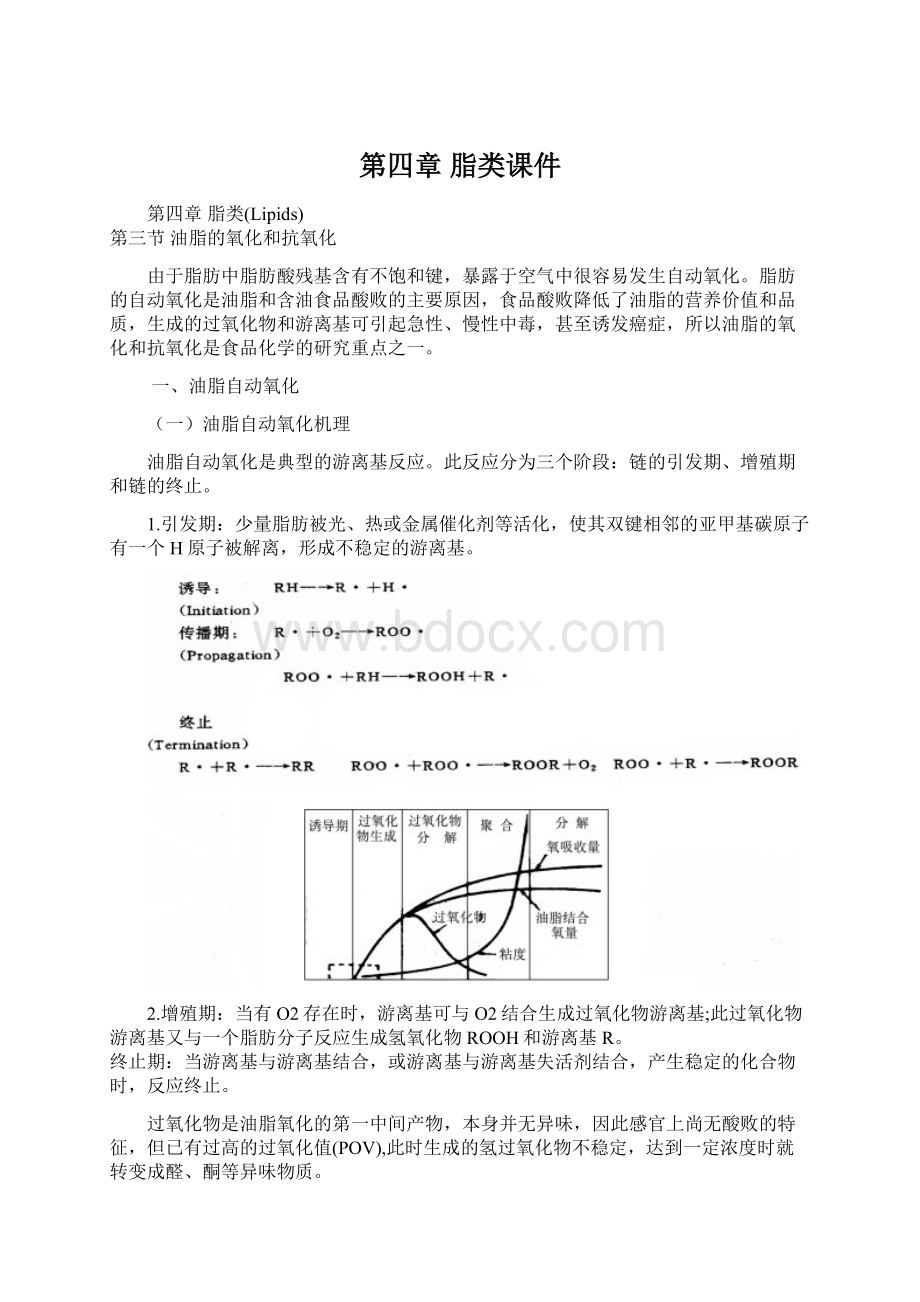 第四章 脂类课件Word格式文档下载.docx