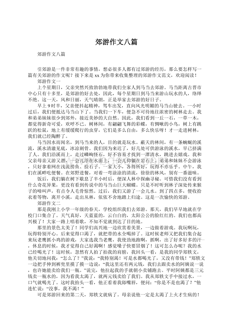 郊游作文八篇文档格式.docx_第1页