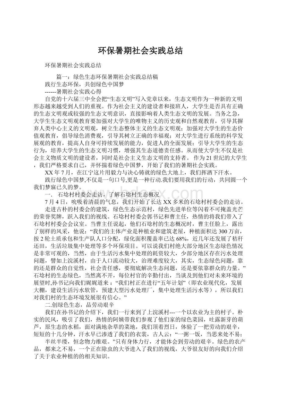 环保暑期社会实践总结.docx