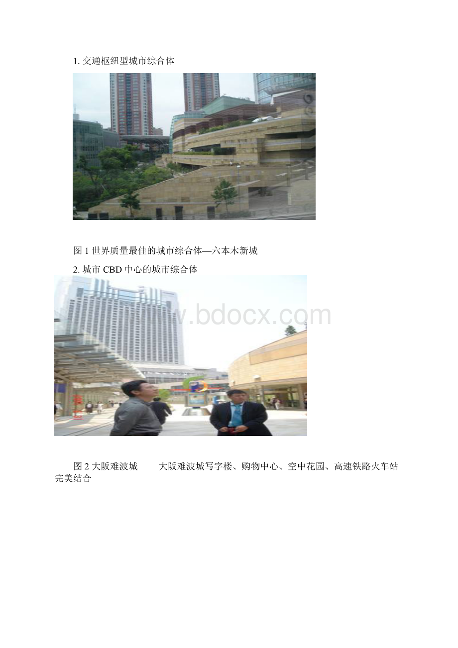 大型城市商业综合体的开发与运营规律研究20PdocWord下载.docx_第2页