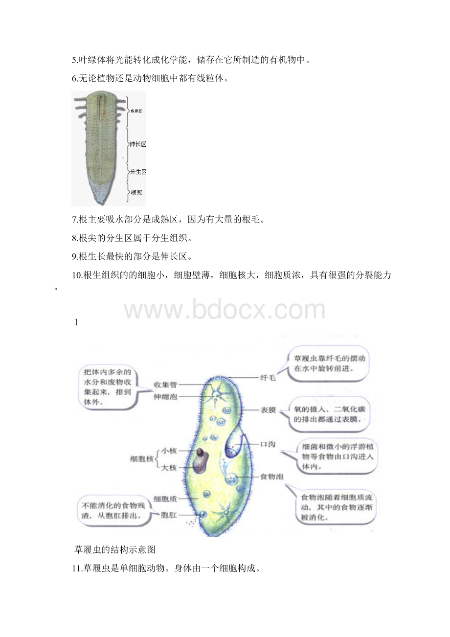 最新初中生物生物结构图专题复习Word下载.docx_第2页