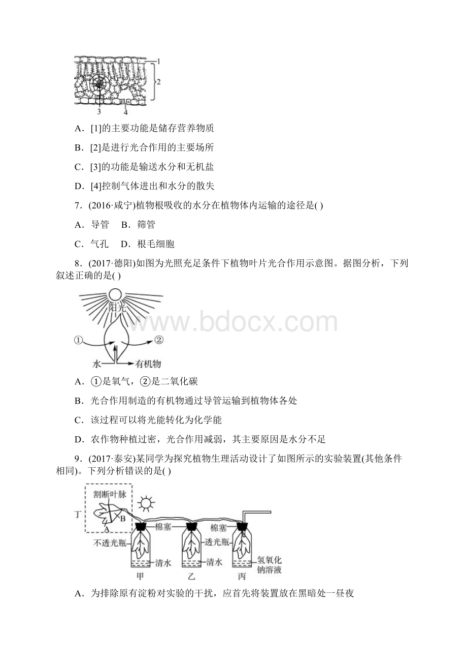 东营市中考生物实战演练七上第二单元第一章.docx_第2页