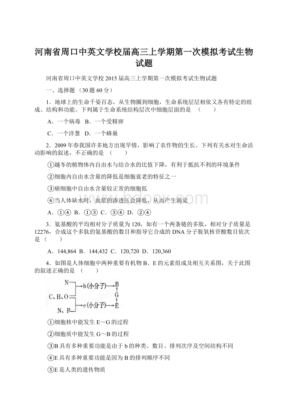 河南省周口中英文学校届高三上学期第一次模拟考试生物试题Word文档格式.docx_第1页