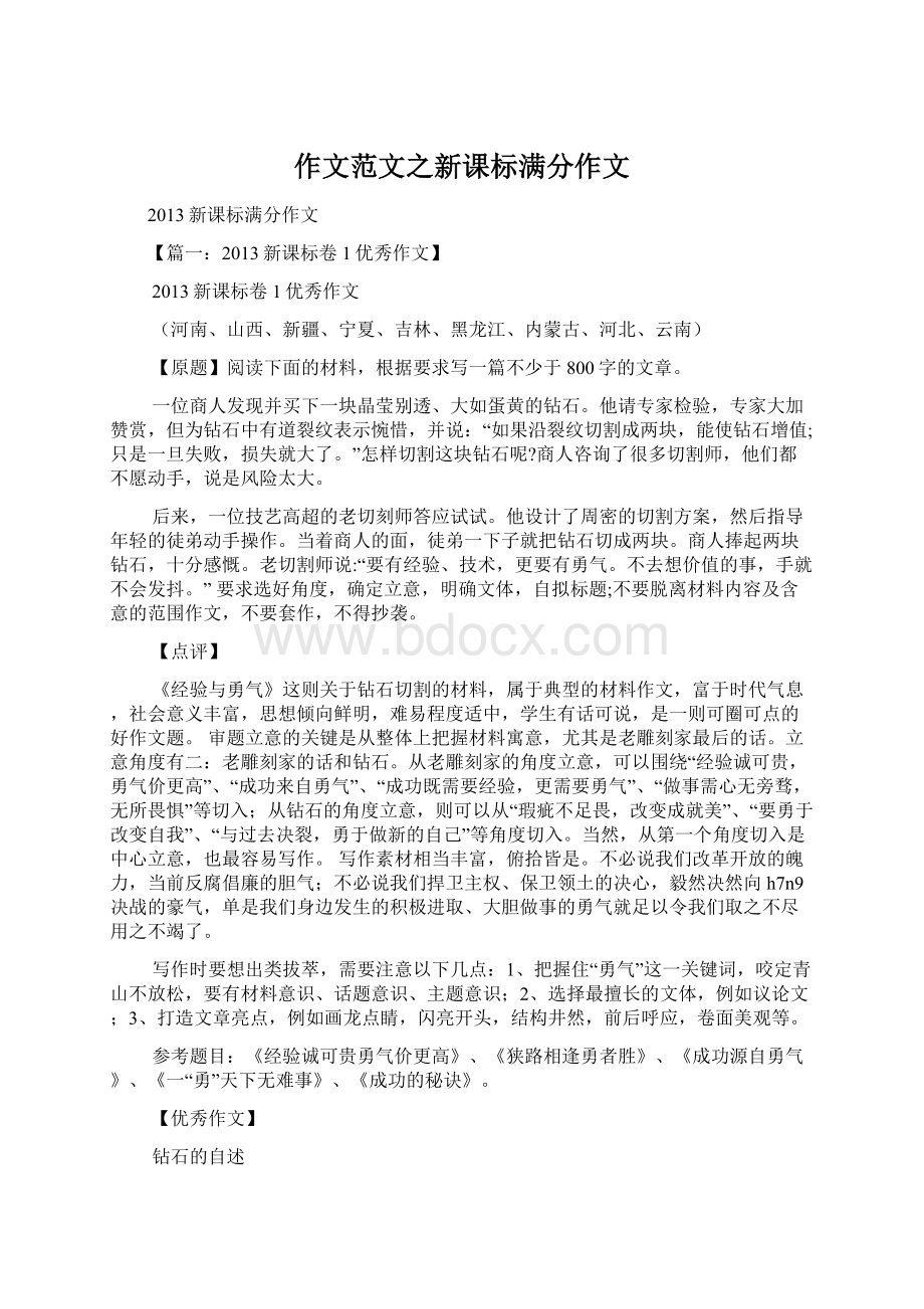 作文范文之新课标满分作文文档格式.docx