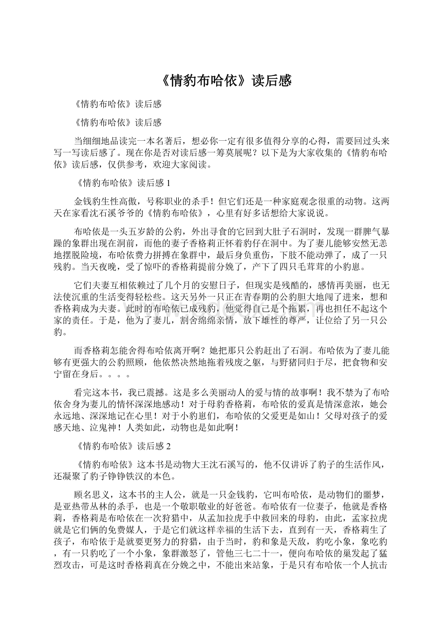 《情豹布哈依》读后感Word文件下载.docx